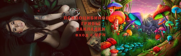 Альфа ПВП Баксан