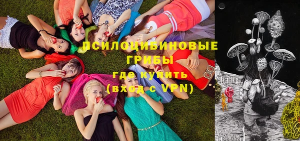 Альфа ПВП Баксан