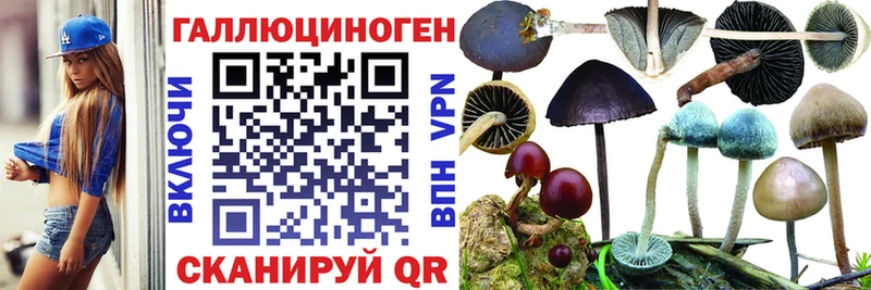 Галлюциногенные грибы прущие грибы  Голицыно 
